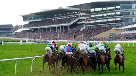 turftrax cheltenham|cheltenham racecourse current going.